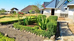 Ein Wohngebiet mit Häusern, einem Garten voller Pflanzen und einem gepflasterten Weg.