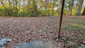 A covered outdoor area with a concrete floor, surrounded by trees with autumn foliage.