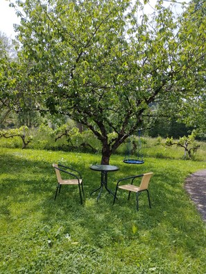A tree with a swing chair and a table with chairs in a grassy area. - Charming country studio (Dolmayrac)