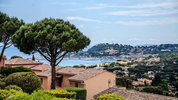 A coastal residential area with terracotta-roofed houses, a prominent pine tree, and a view of the sea and distant hills.