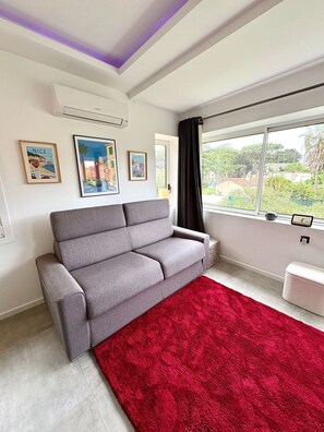 Un salon avec un canapé gris, un tapis rouge et trois tableaux encadrés accrochés au mur.