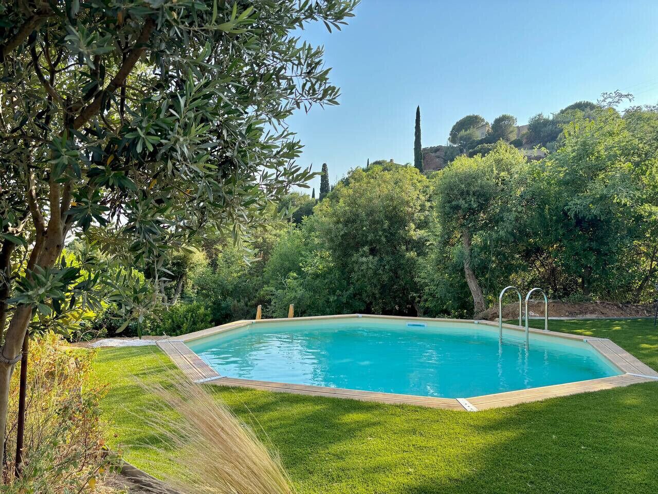 En rektangulær swimmingpool med en træterrasse hele vejen rundt, omgivet af frodig vegetation og træer.