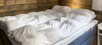 Pet friendly home in Bjorli with sauna