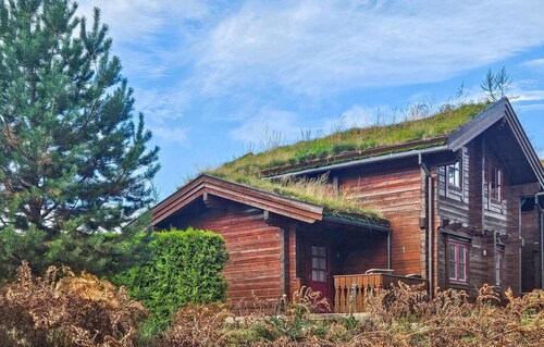 Nice home in Vrådal with house a mountain view