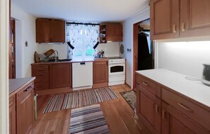 Fridge, oven, stovetop, dishwasher