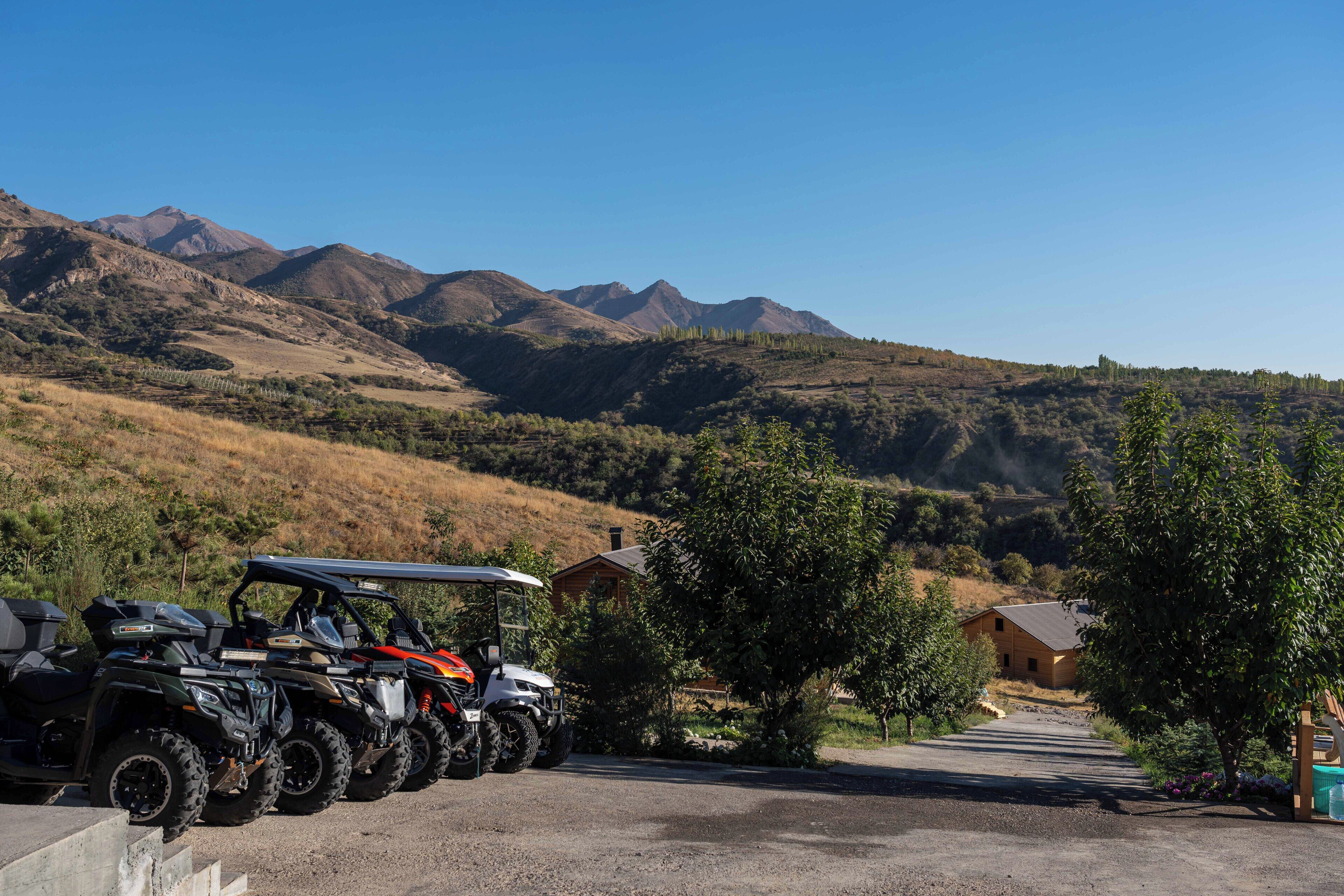 A row of ATVs parked in a driveway with a mountain backdrop.