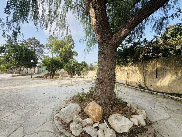 المنطقة المحيطة بالمنشأة