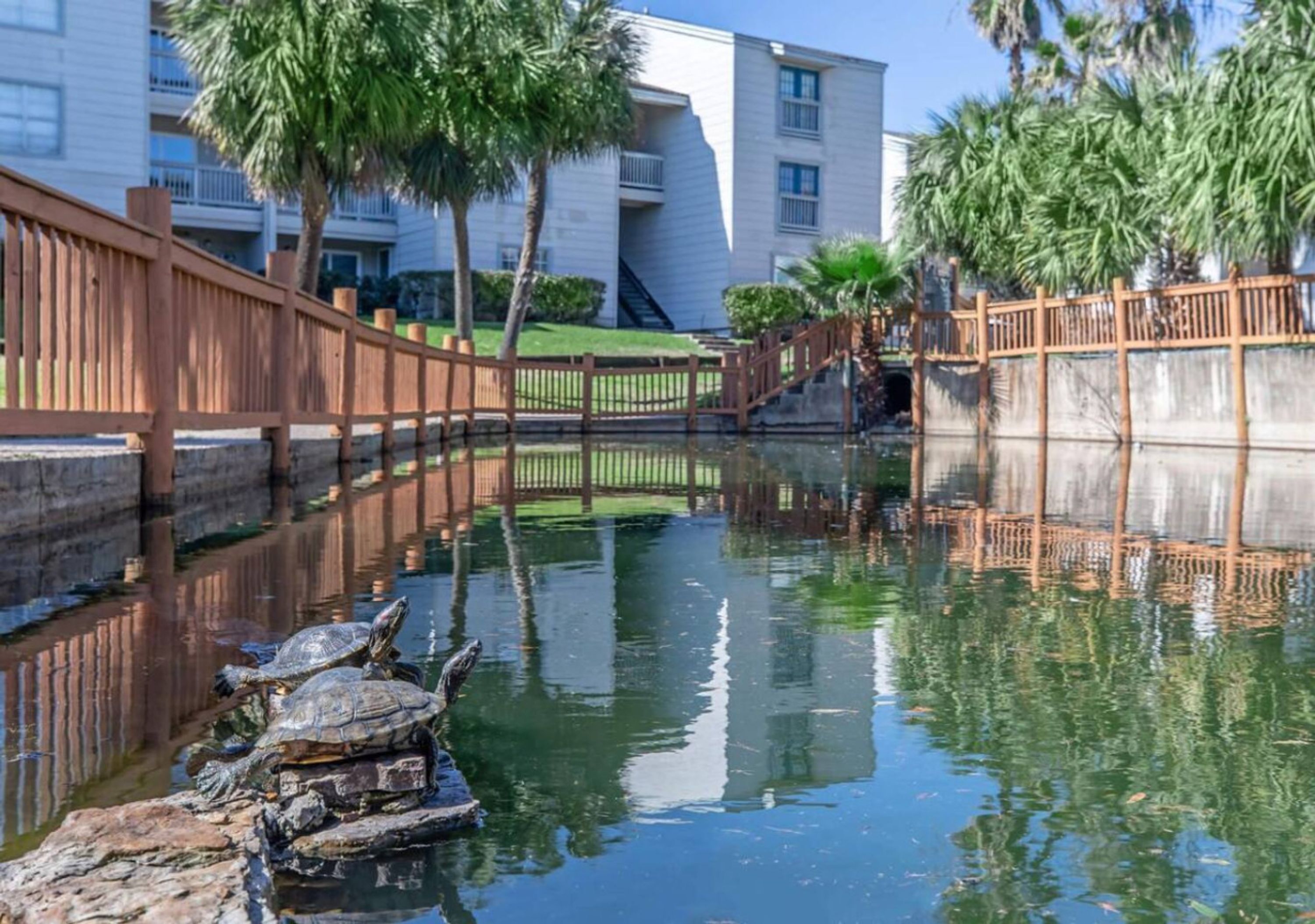 A canal with a wooden bridge, reflecting buildings and palm trees.