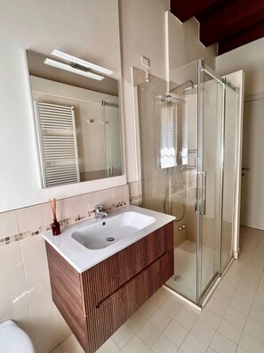 Shower, hair dryer, bidet, towels