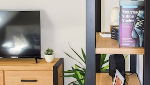A modern living room with a wooden TV stand, a bookshelf, and a potted plant.