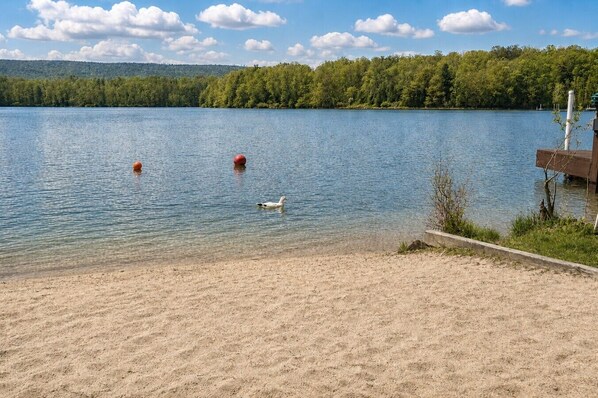 Ein See mit sandigem Ufer, einer Holzstege und einem bewaldeten Hügel im Hintergrund.