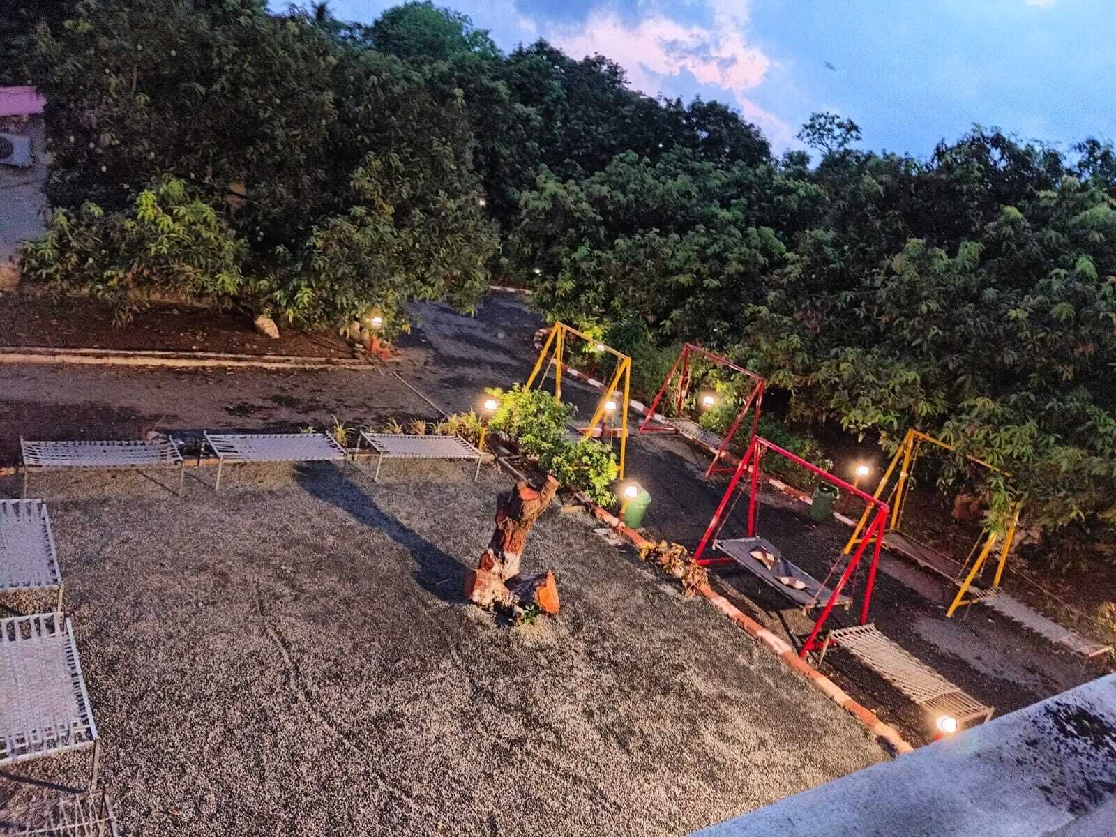 An outdoor area with swings and a tree.