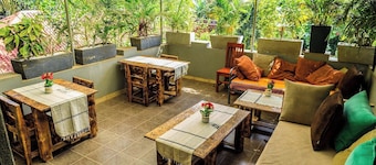 Inn the woods Entebbe