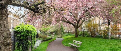 Àrea exterior de l'allotjament