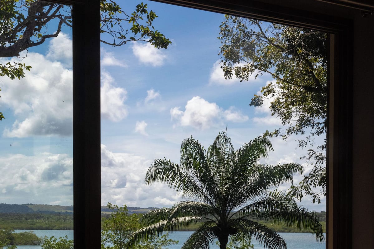 A view from a balcony with a pool, overlooking a lake and palm trees.
