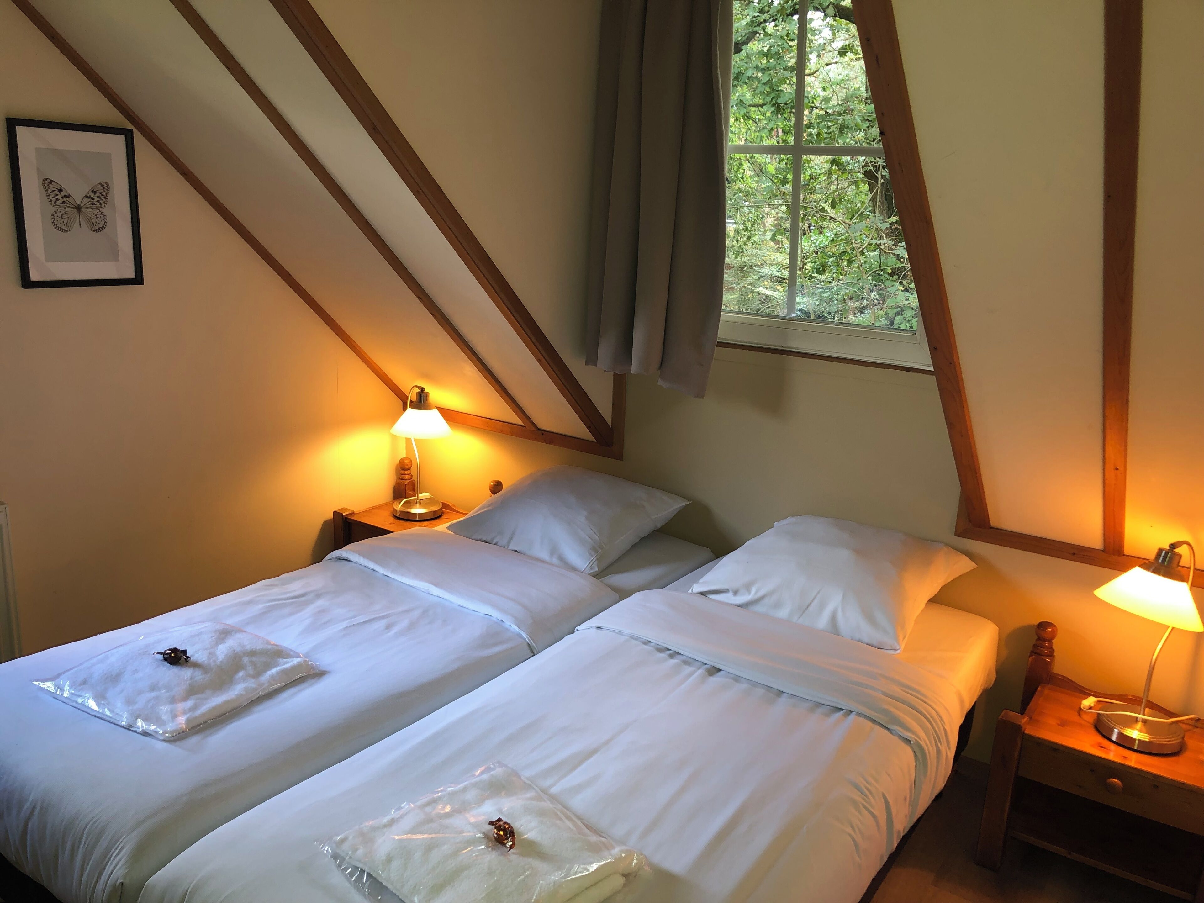 1 camera, una cassaforte in camera, ferro/asse da stiro, Wi-Fi gratuito