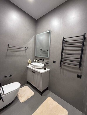 Secadora de cabello, toallas, jabón, papel de baño 
