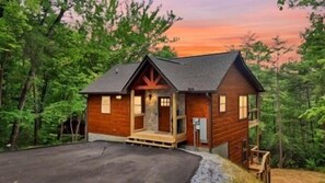 Exterior - Sneaky Bear: Mtn Views, Secluded, Hot Tub, Wifi, Games (Sevierville)