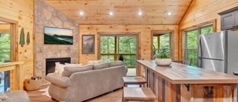 TV, fireplace, video games