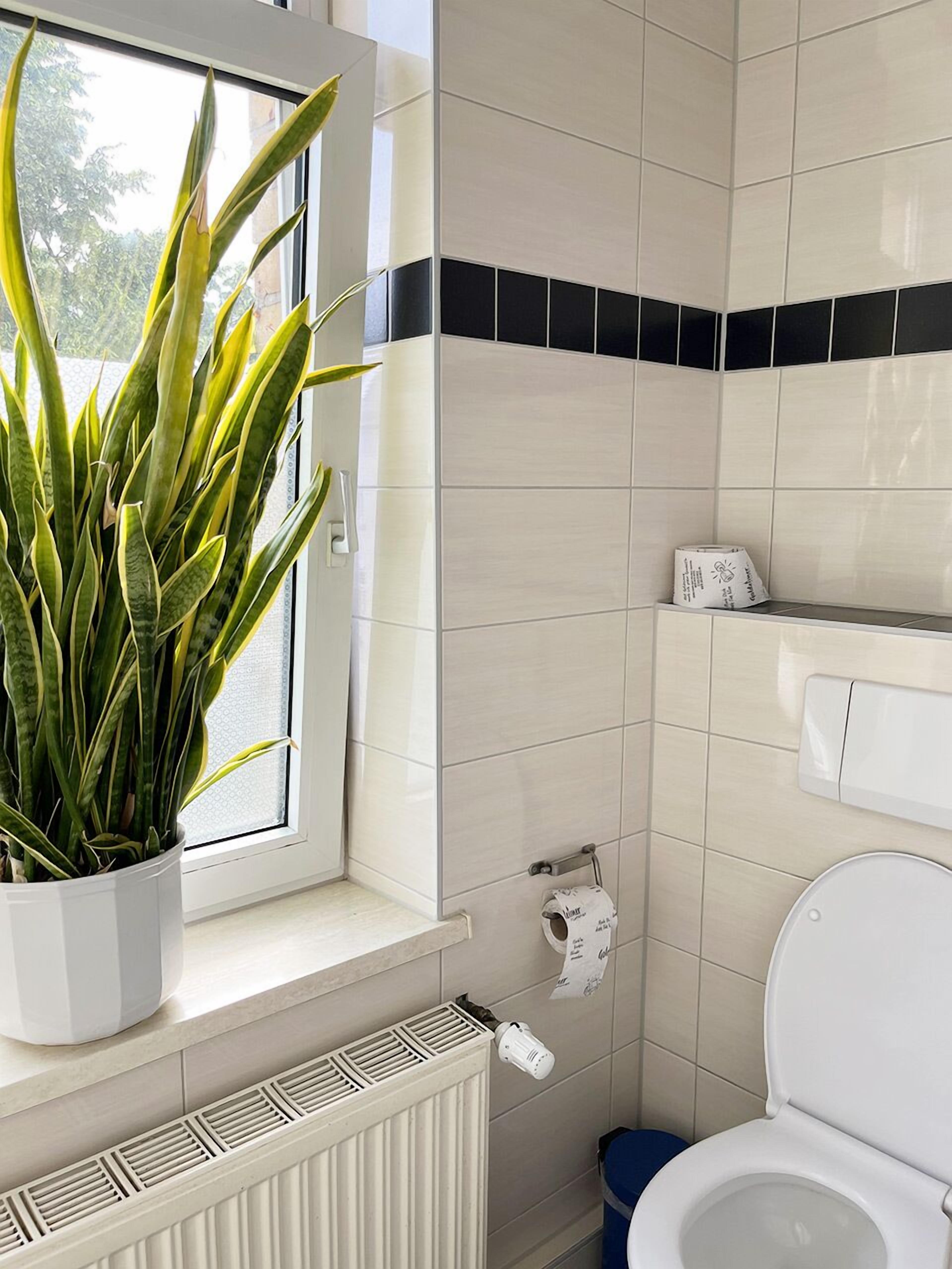Ein Badezimmer mit Toilette, blauem Mülleimer, Heizkörper, Zimmerpflanze und Fenster mit Blick auf Bäume.
