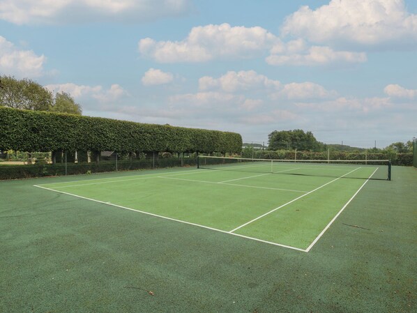 Sport court