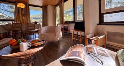 Grand appartement au pied des pistes, animaux admis