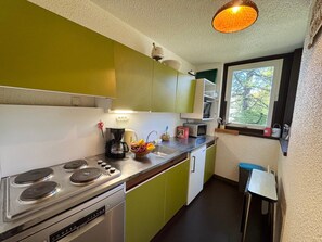 Fridge, microwave, dishwasher