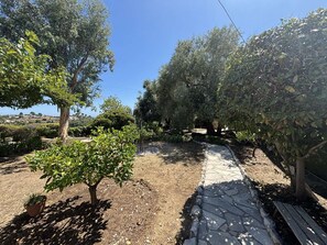 Terrain de l’hébergement 