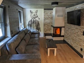 Smart TV, fireplace, books