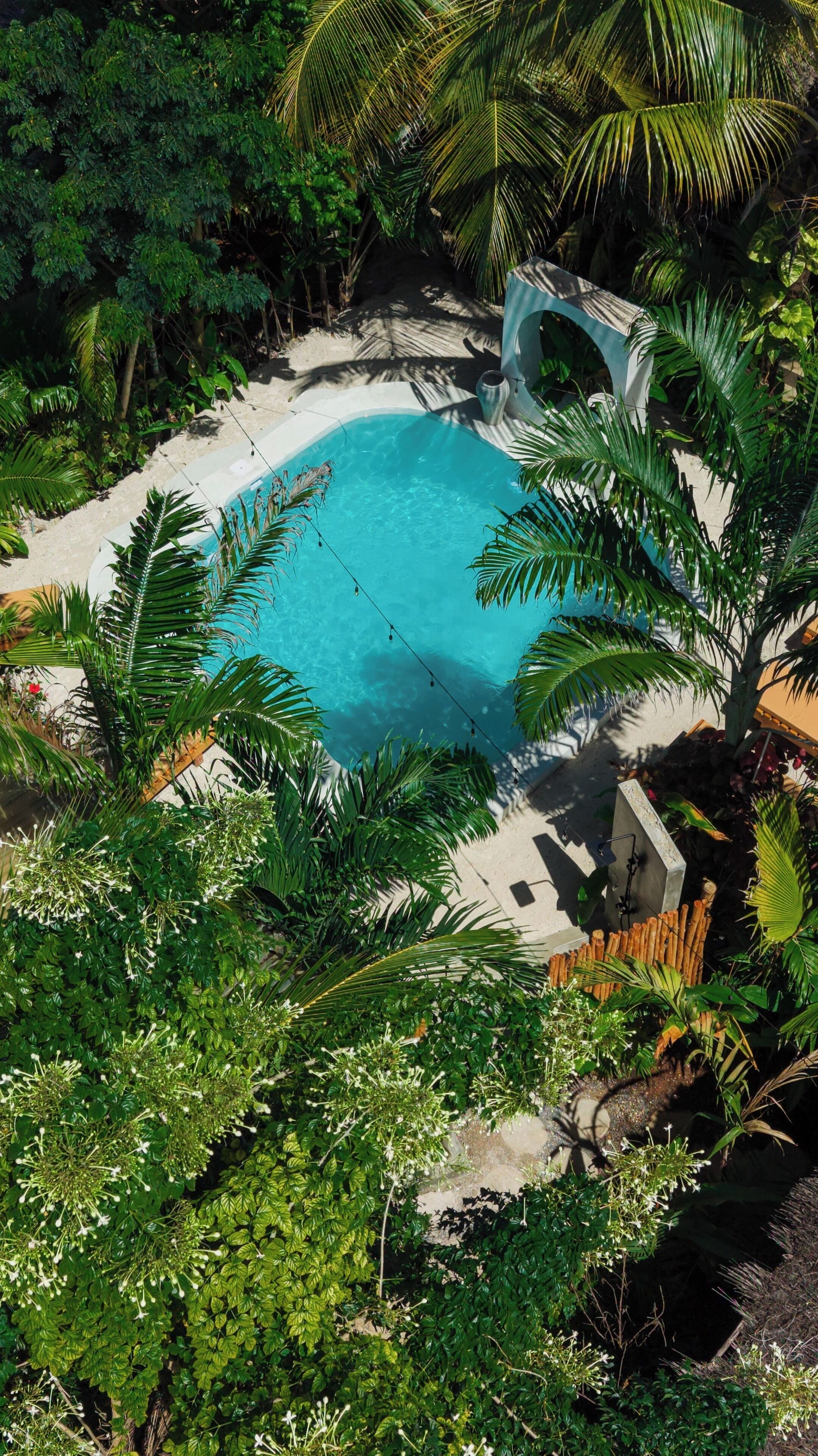 A swimming pool surrounded by lush greenery, with a clear view of the water and surrounding vegetation.