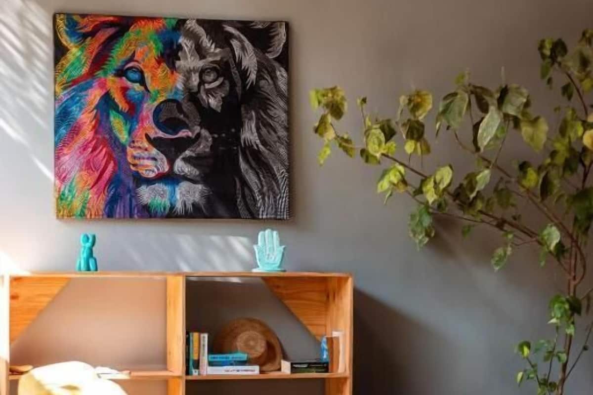 Chambre simple, vue sur le jardin | Réception