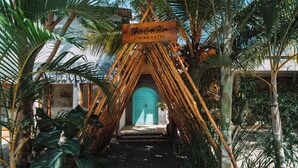 Une entrée aux allures tropicales, avec une enseigne en bois indiquant «The Orenot Living Hotel», entourée d’une végétation luxuriante et un sentier menant à une porte turquoise.