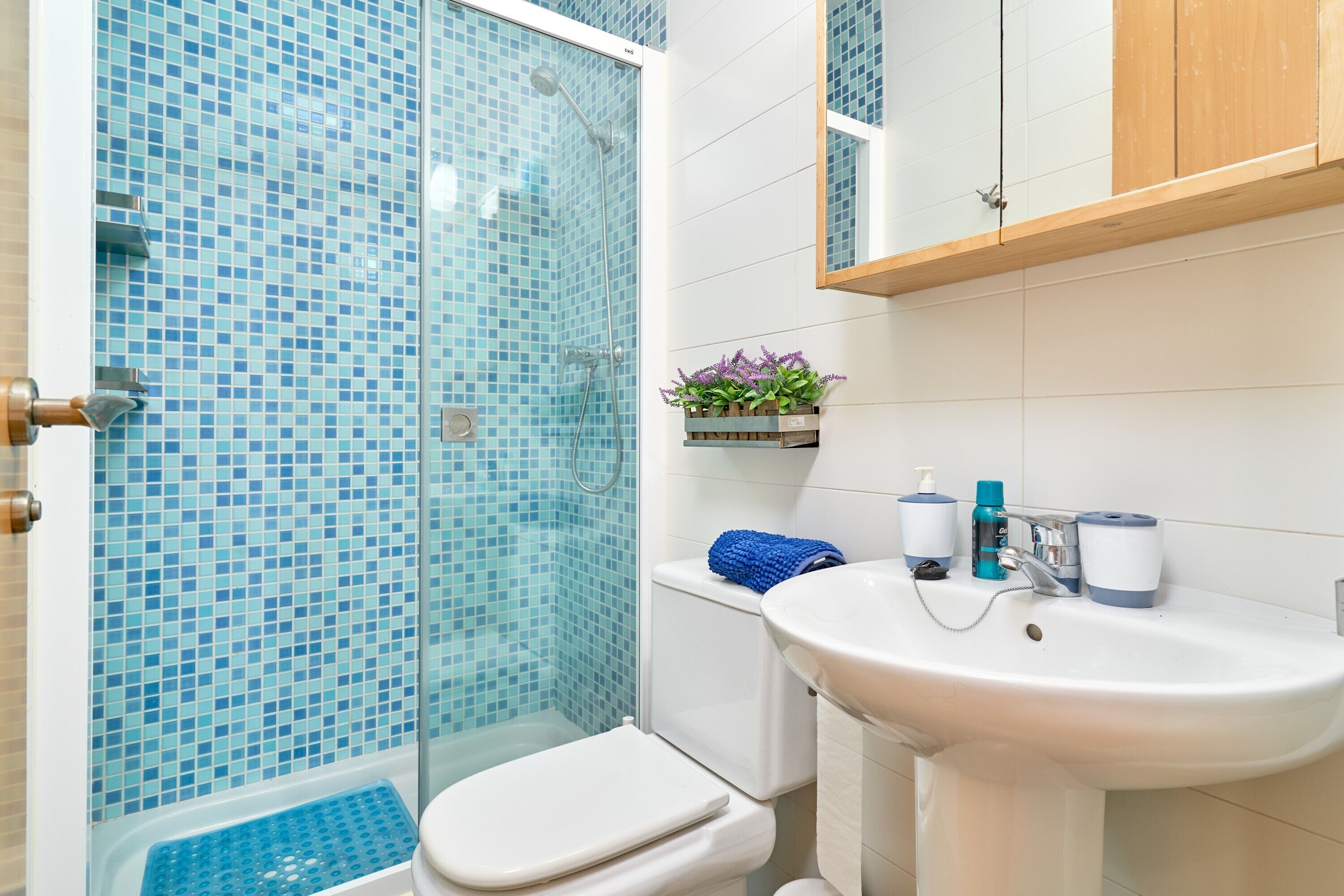 Shower, hair dryer, towels