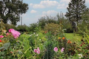 Property grounds - The Bothy (Warminster)