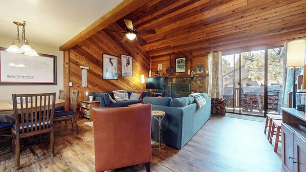 Smart TV, fireplace, books