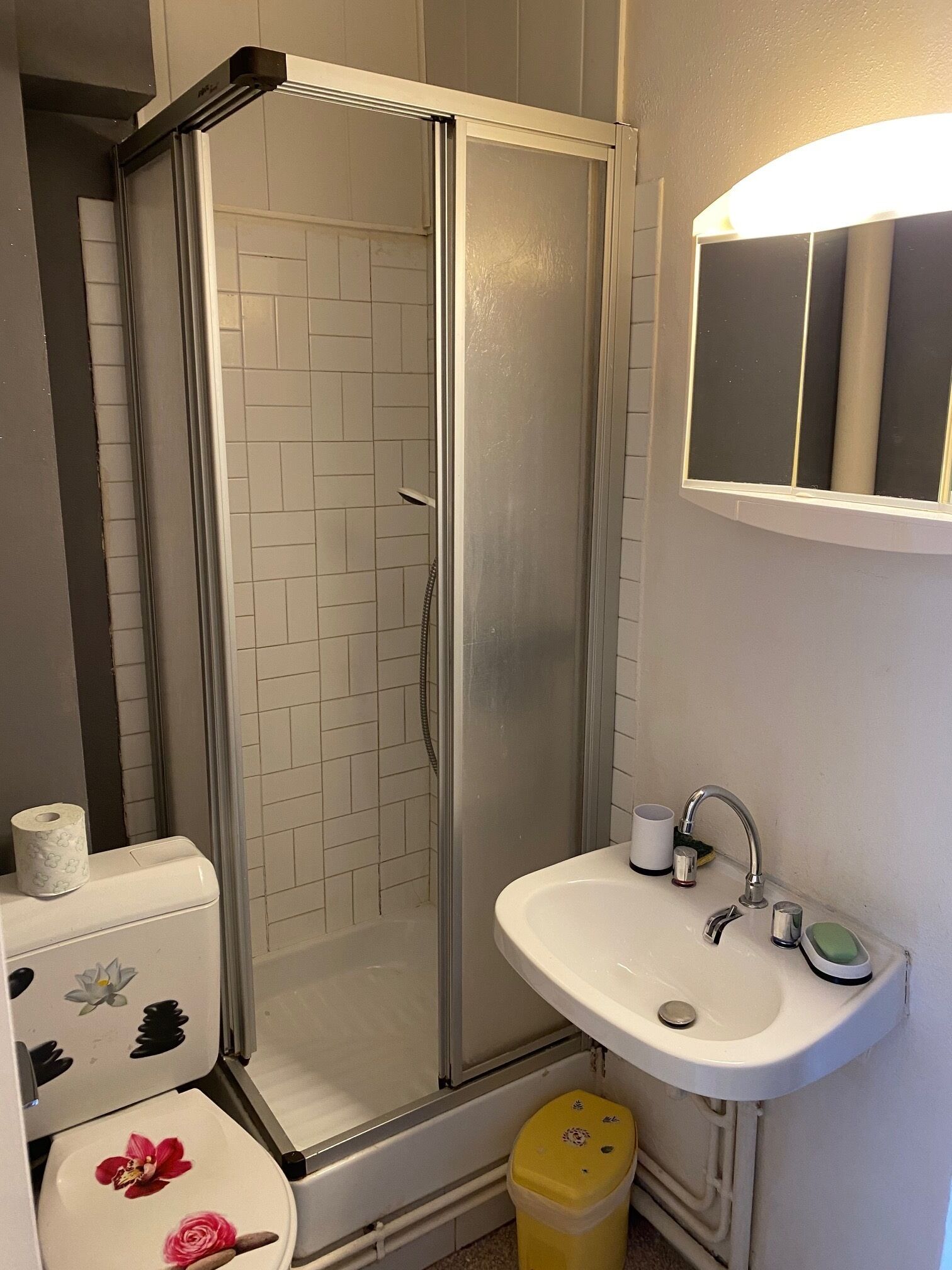 Une salle de bain avec une douche à parois de verre, un lavabo blanc et des toilettes décorées de motifs floraux.