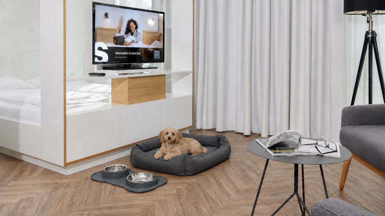 Un salon moderne comprenant un téléviseur, un panier pour chien, une gamelle pour animaux et une petite table avec des documents à lire.