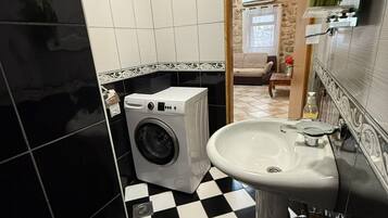 Shower, hair dryer, toilet paper