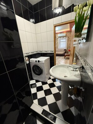 Shower, hair dryer, toilet paper