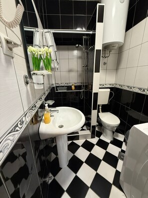 Shower, hair dryer, toilet paper