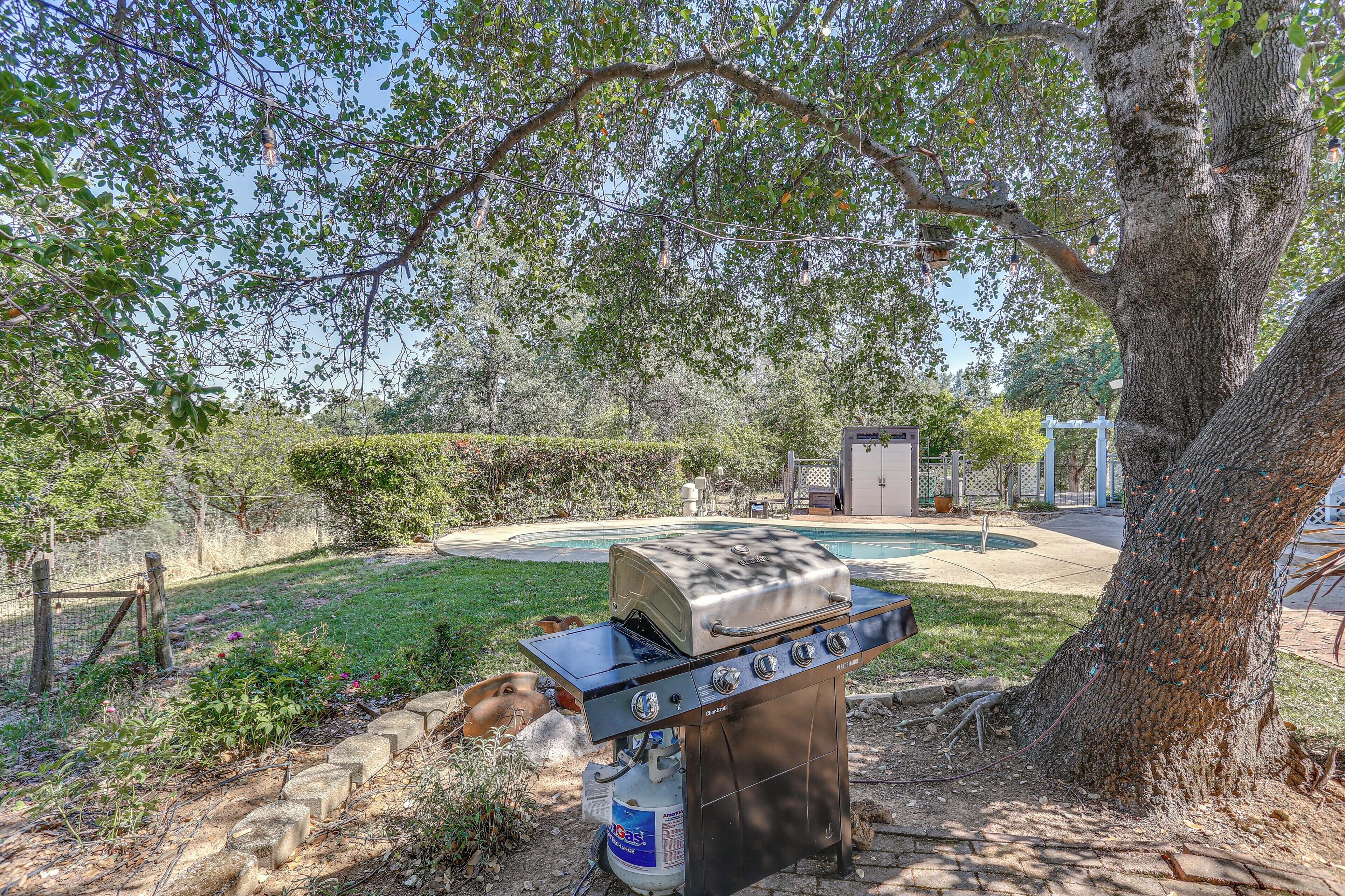 A backyard with a barbecue grill, a swimming pool, and a large tree.