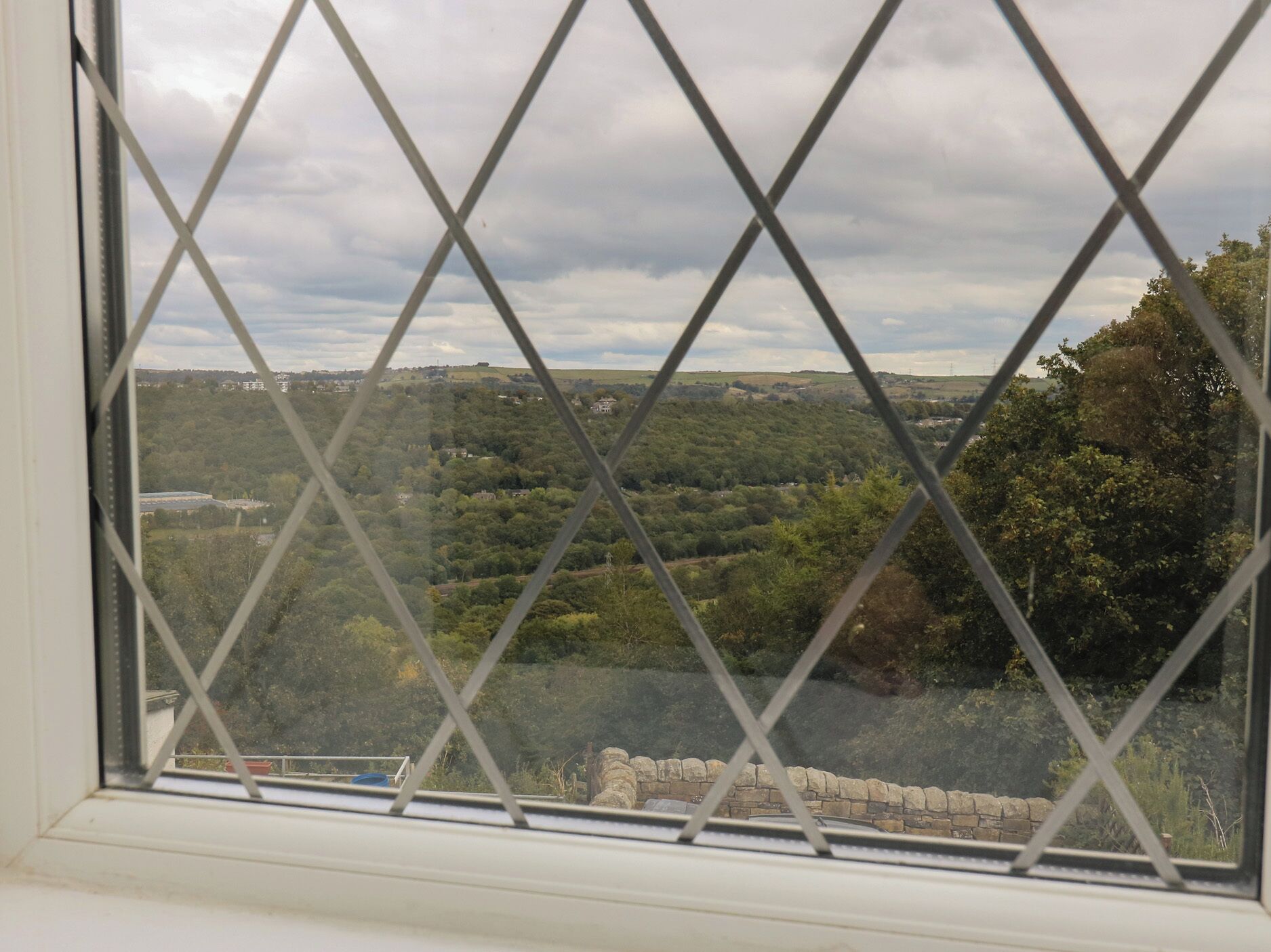 A view through a window with a diamond-patterned grille, overlooking a green landscape with trees and a stone wall.