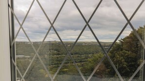 Une vue à travers une fenêtre ornée d’une grille à motifs losangés, donnant sur un paysage verdoyant avec des arbres et un mur de pierre.