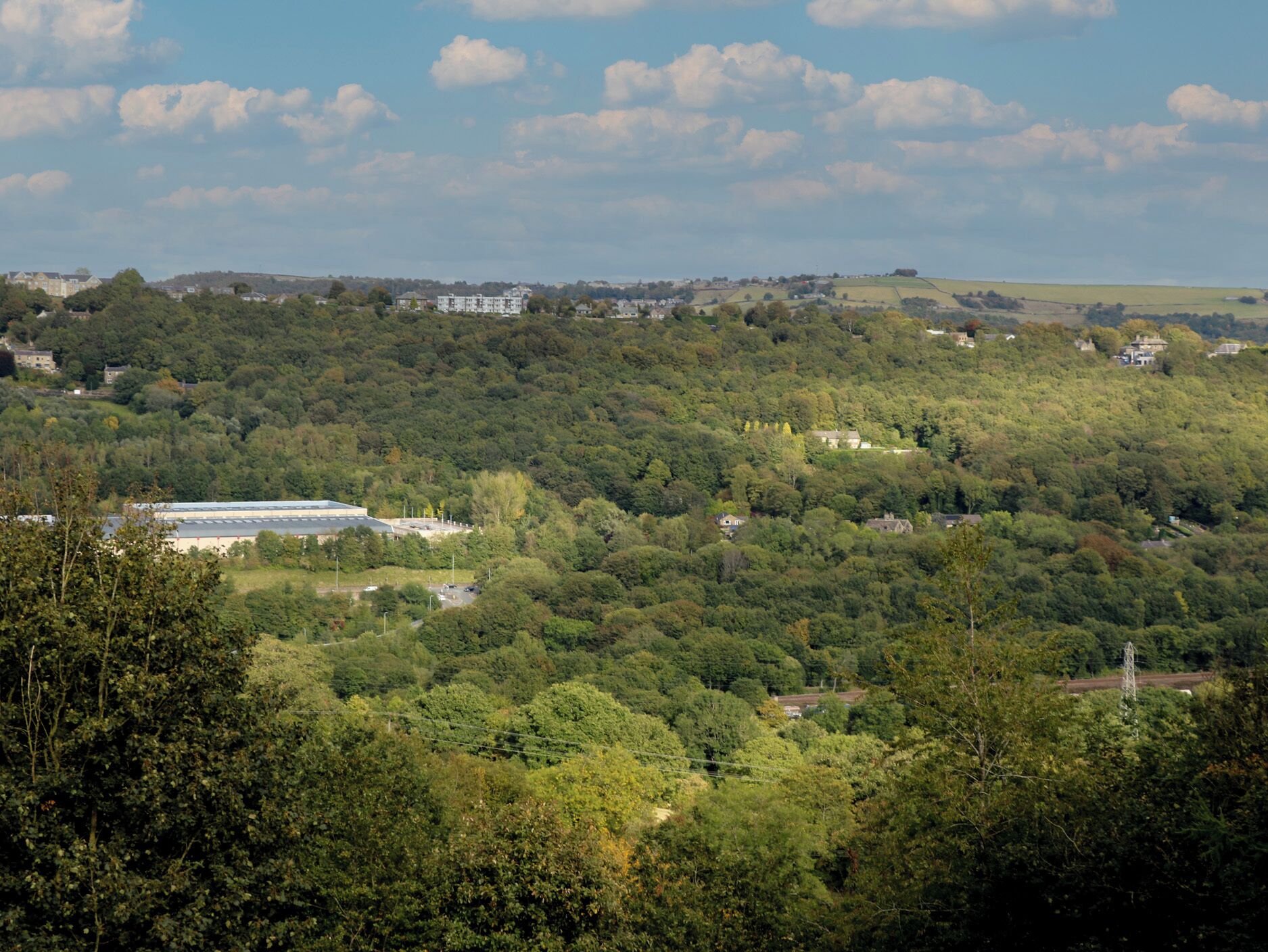 A view of a large building surrounded by dense forest and scattered houses.