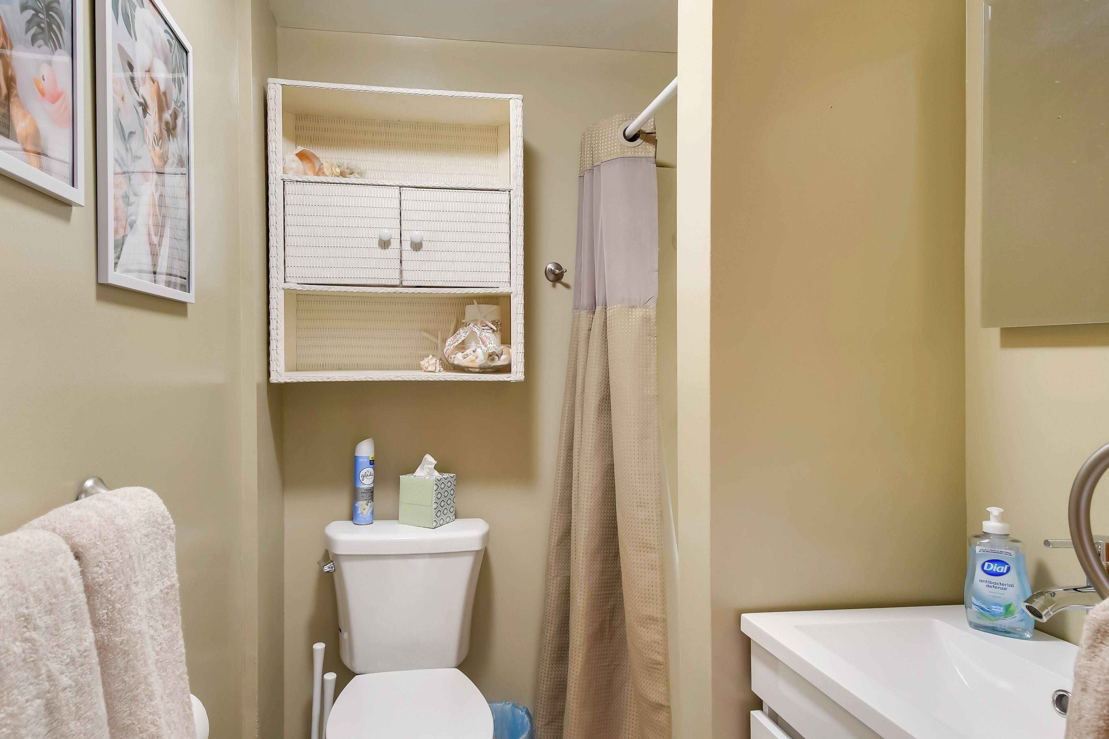 A bathroom with a toilet, a sink, a shower curtain, and a shelf with toiletries.