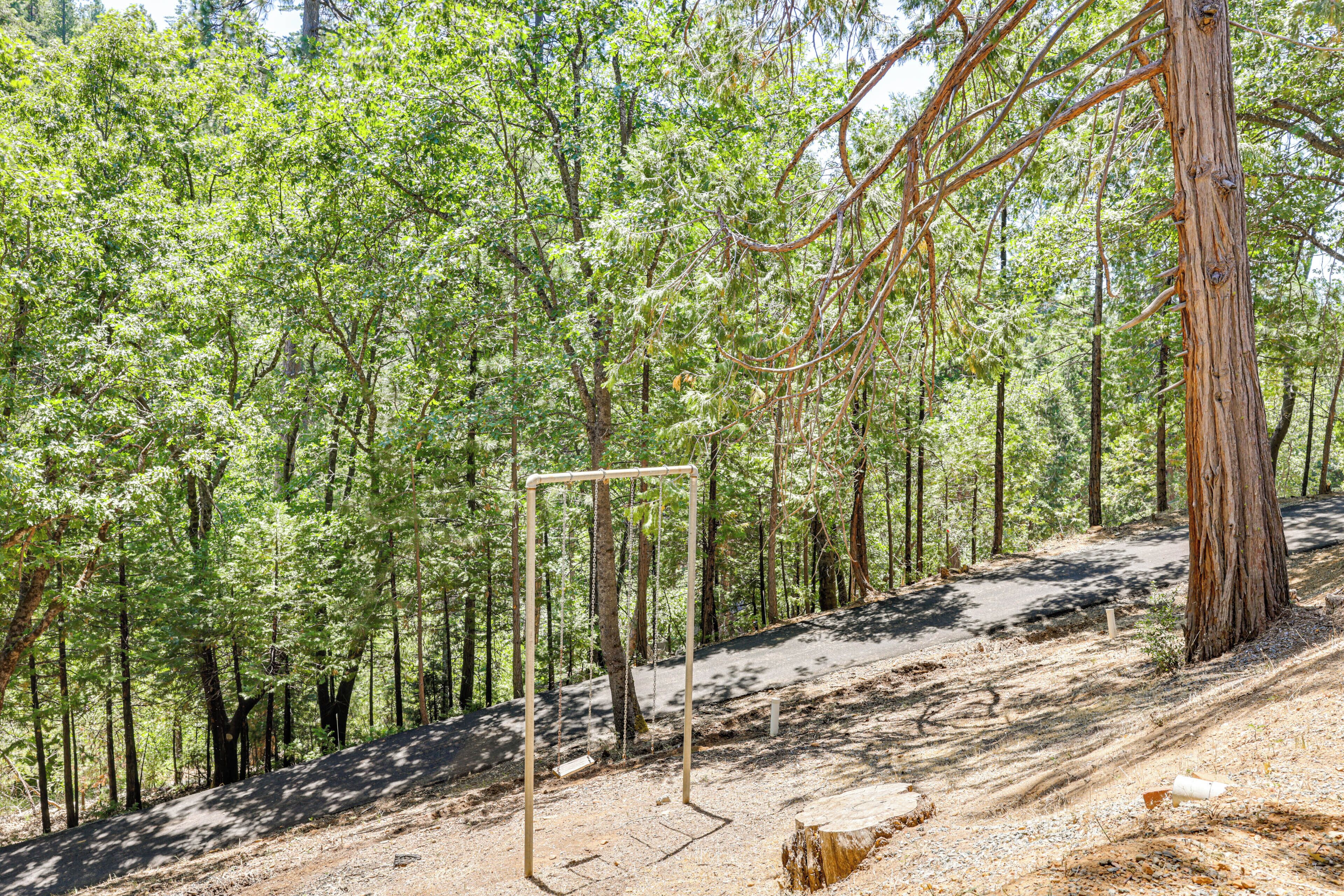 Une zone boisée avec un sentier de terre, une balançoire et un grand arbre.