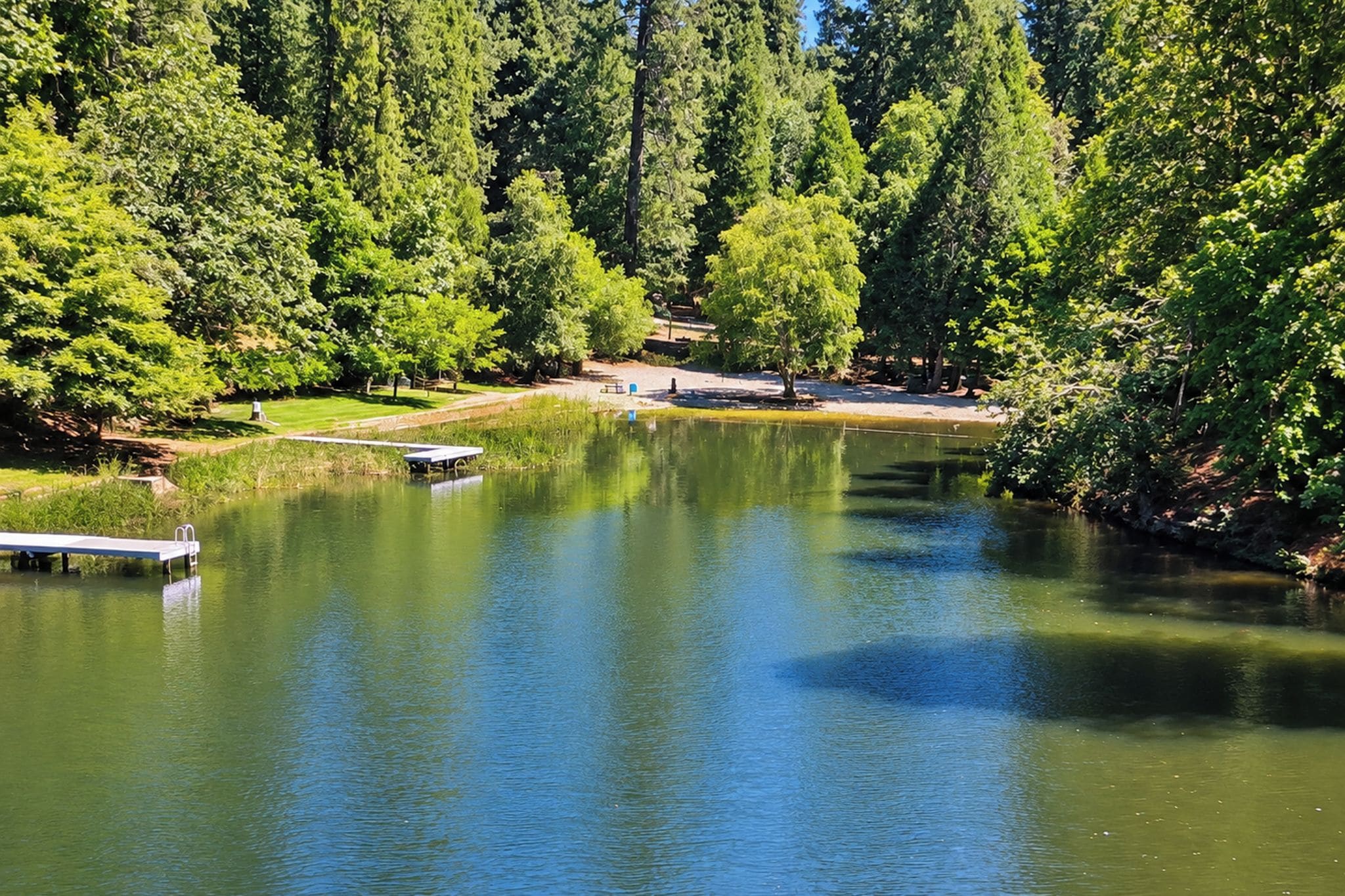 A tranquil lake surrounded by dense forest, a dock, and a picnic area.