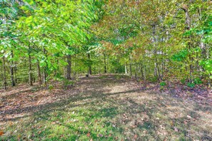 A forested area with a dirt path leading through trees. - Ohio Cabin on 23 Acres: Fish, Hunt & Explore! (Lower Salem)