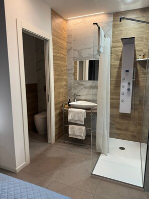 Shower, hair dryer, towels