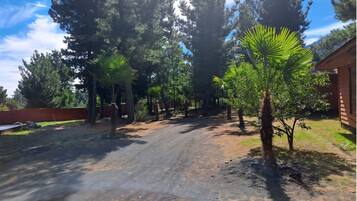 Àrea exterior de l'allotjament